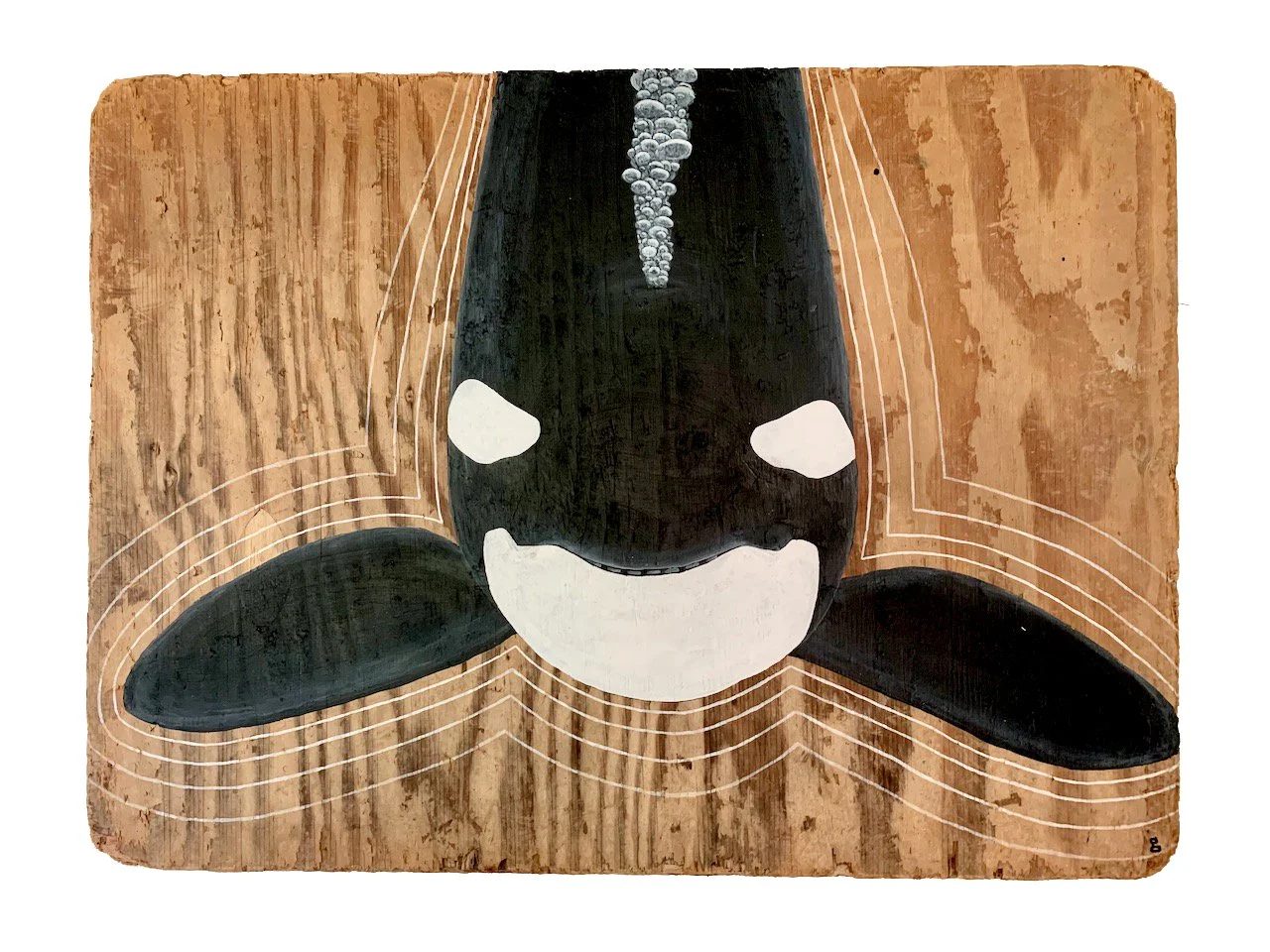Orca Grin