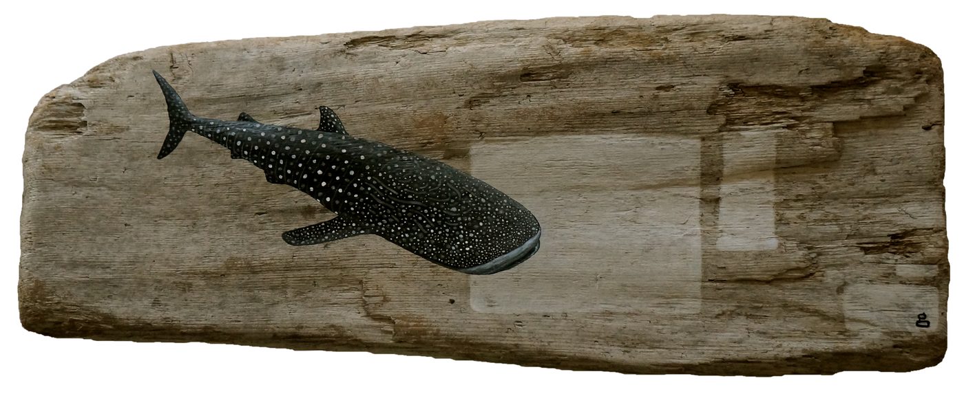 Whale Shark Galactic Cartograph