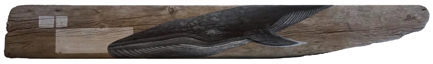 Blue Whale