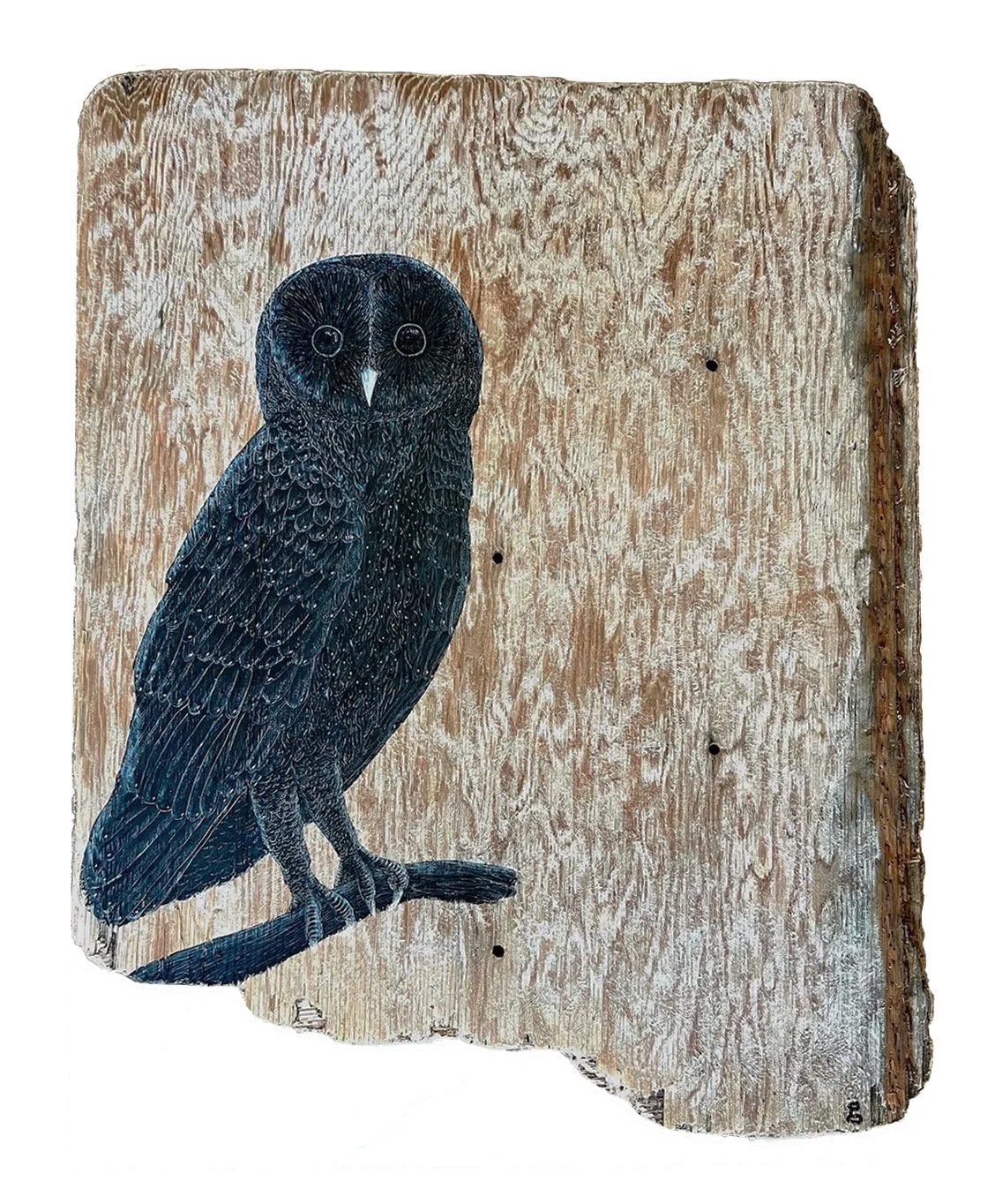 Cosmic Owl