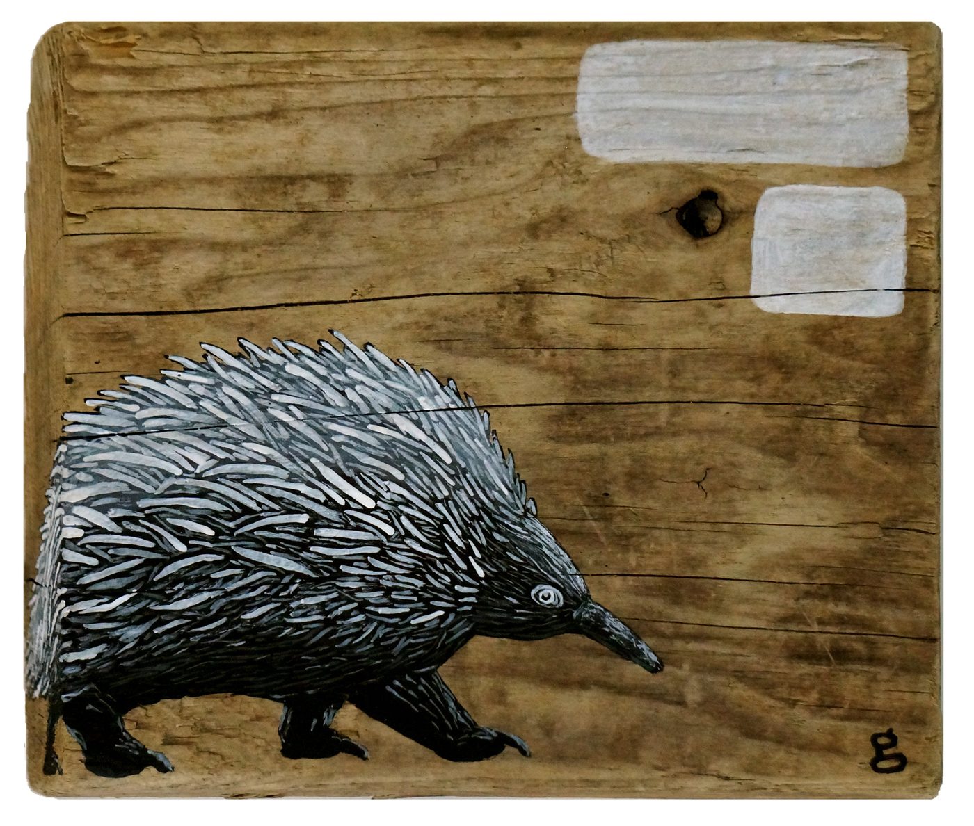 Echidna