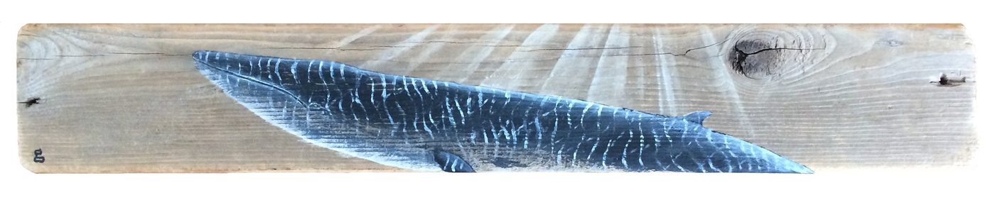 Fin Whale