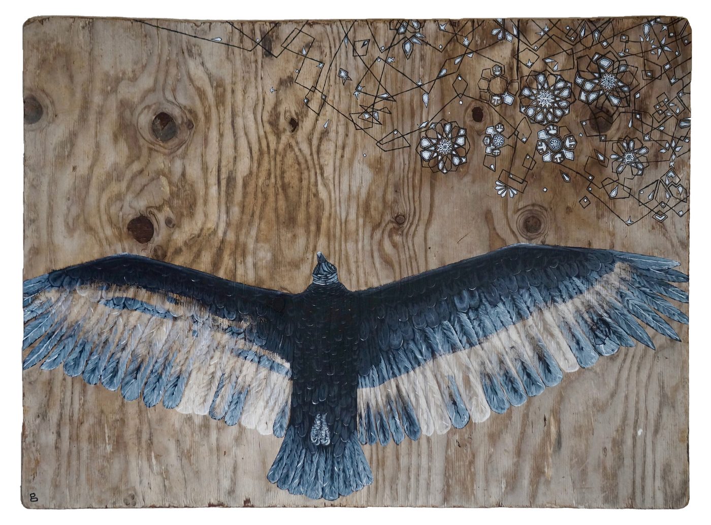 Ghost Buzzard