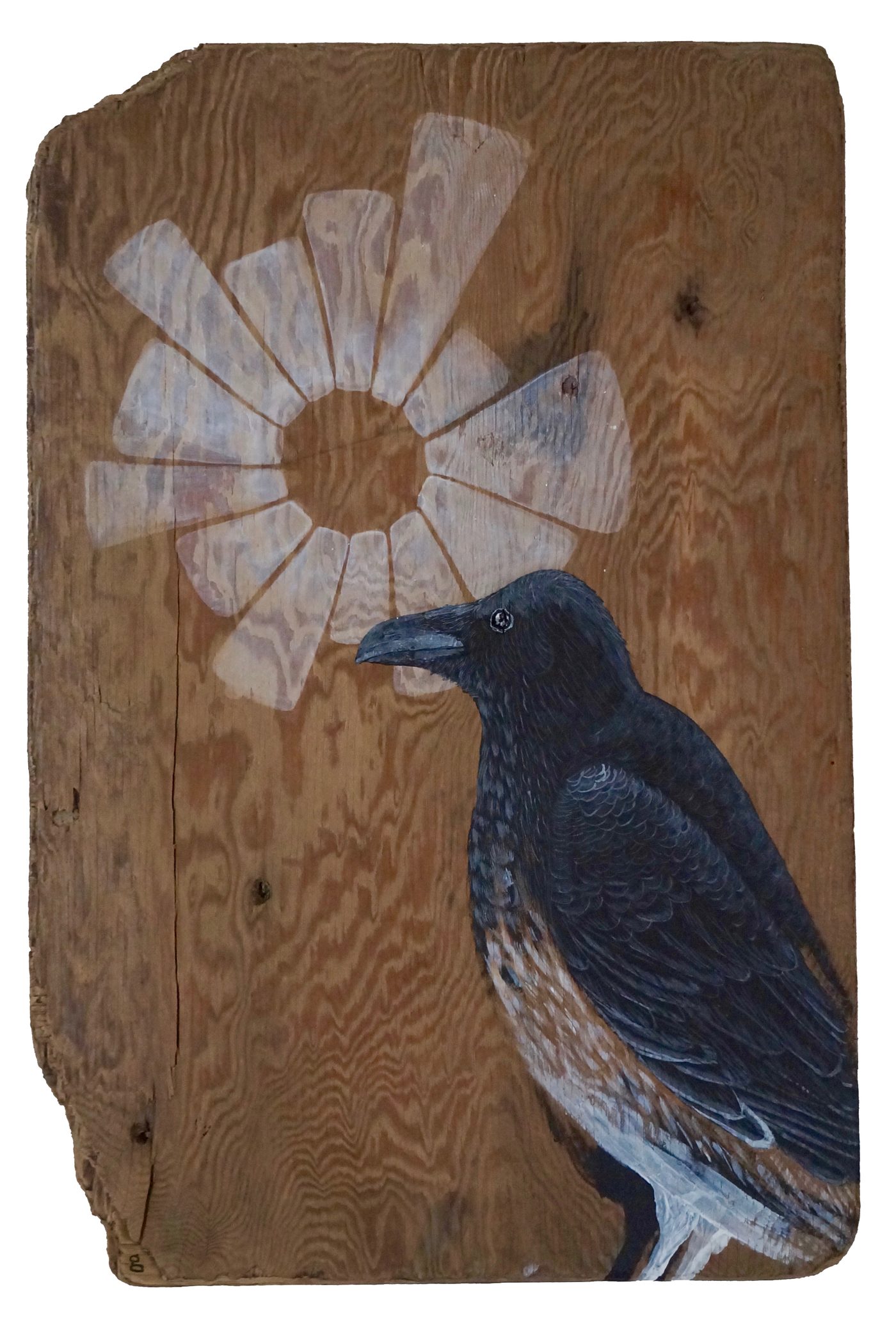 Ghost Raven