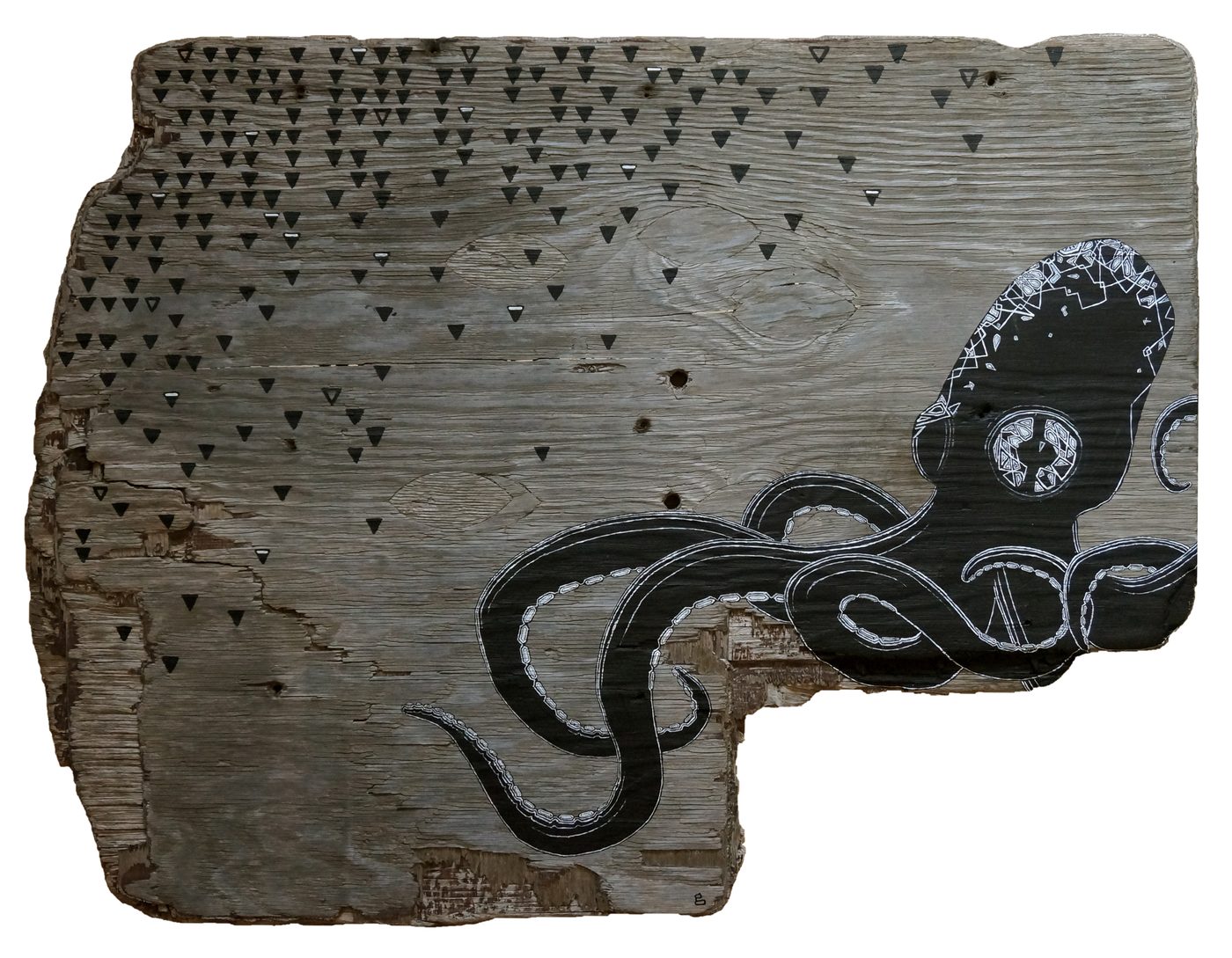 Octopus