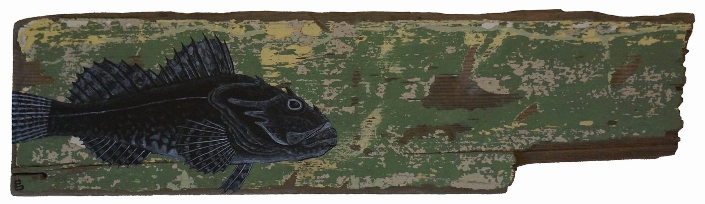 Sculpin