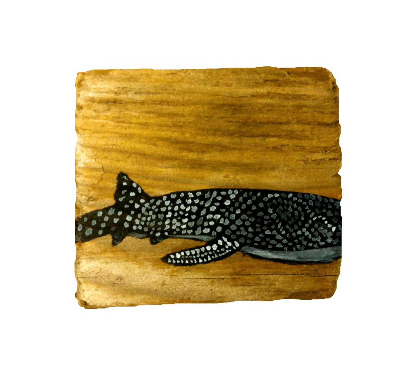 Whaleshark